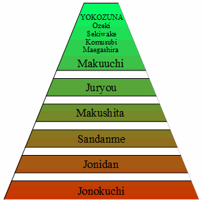 Sumo Hierarchie